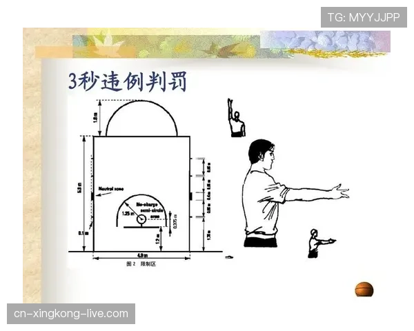 深入解析篮球后场规则及其具体违例判定标准